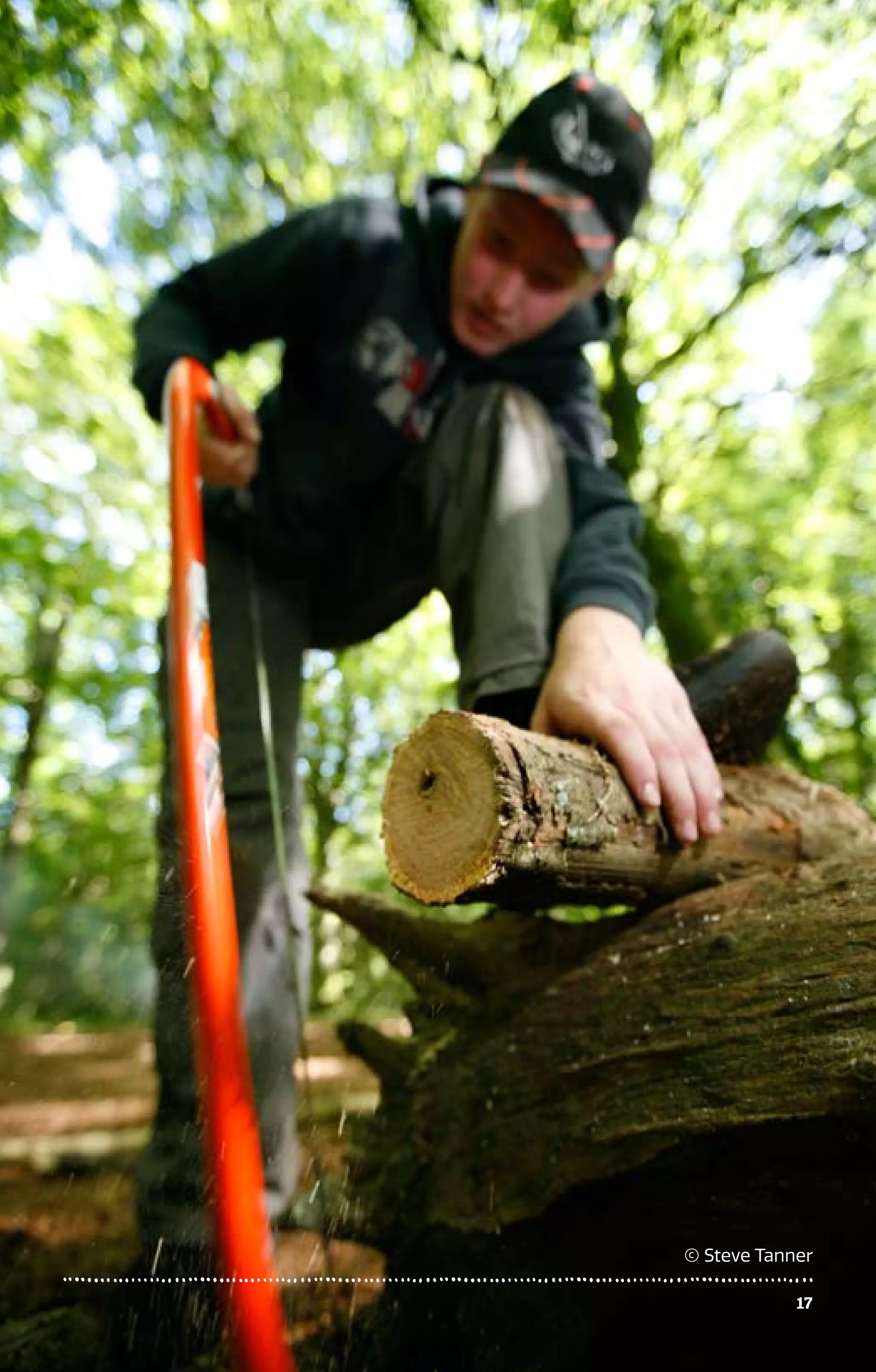 1717
© Steve Tanner
 