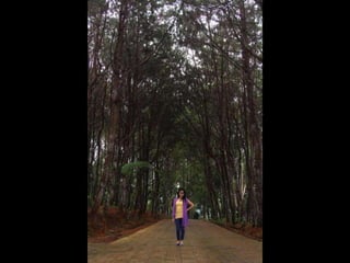 Eden nature park