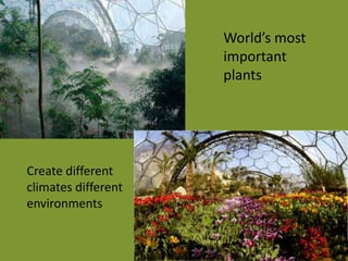 World’s most
important
plants
Create different
climates different
environments
 