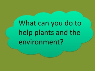 What can you do to
help plants and the
environment?
 