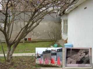 Eden  Project  Team  Presentation