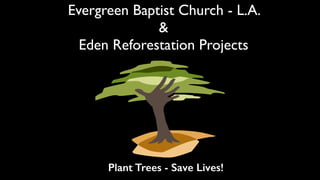 Evergreen Baptist Church - L.A.
&
Eden Reforestation Projects
Plant Trees - Save Lives!
 