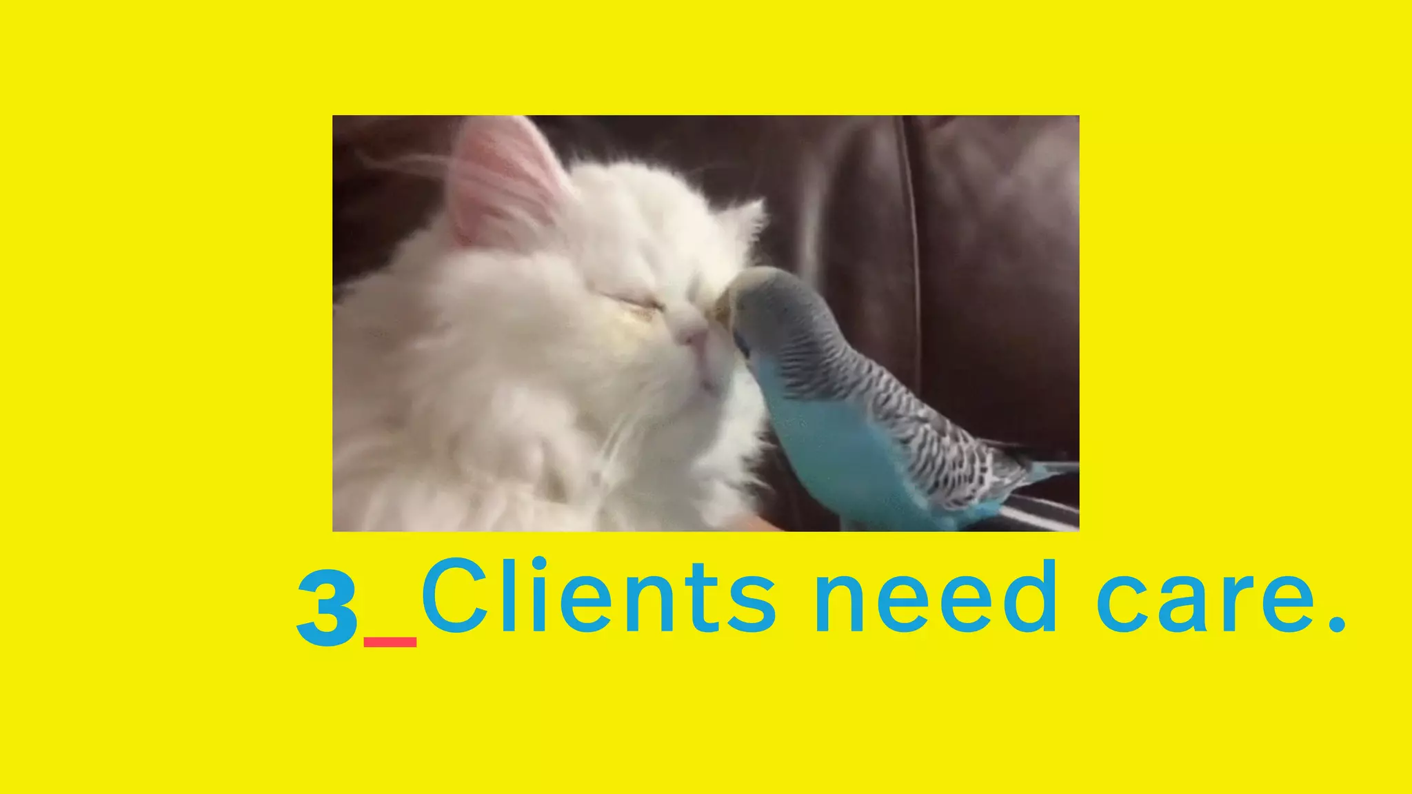 3_Clients need care.
 