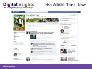 Irish Wildlife Trust - Now 