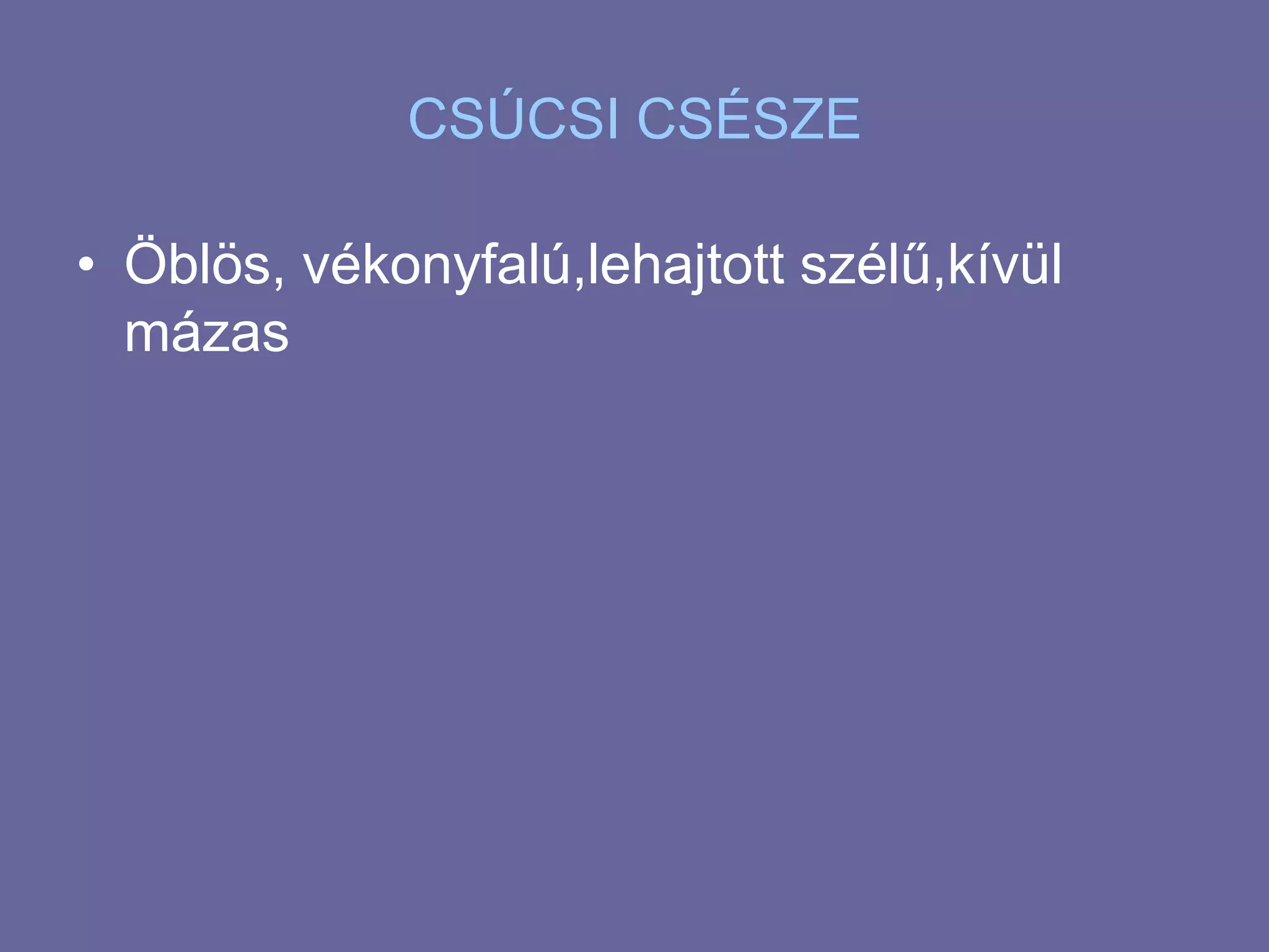 CSÚCSI CSÉSZEÖblös, vékonyfalú,lehajtott szélű,kívül mázas