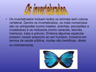 Os invertebrados incluem todos os animais sem coluna vertebral. Dentre os invertebrados, os mais numerosos são os artrópodes (como insetos, aranhas, escorpiões e crustáceos) e os moluscos (como caracóis, lesmas, mariscos, lulas e polvos). Embora algumas espécies possam causar prejuízos ao ser humano, inclusive em termos de saúde pública, muitas são benéficas, direta ou indiretamente.   Os invertebrados 