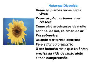 Natureza Distraída Como as plantas somo seres vivos Como as plantas temos que crescer Como elas precisamos de muito  carinho, de sol, de amor, de ar  Pra sobreviver Quando a natureza distraída Fere a flor ou o embrião O ser humano mais que as flores  precisa na vida de muito afeto   e toda compreensão. 