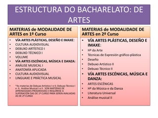 Materias optativas (escolleraseunha en 1º e outra en 2º curso). 