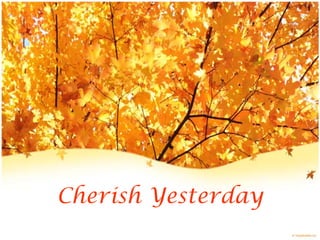 Cherish Yesterday