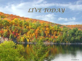 LIVE TODAY