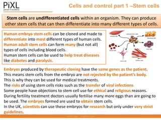 Human embryo stem cells can be cloned and made to
differentiate into most different types of human cells.
Human adult stem cells can form many (but not all)
types of cells including blood cells.
Human stem cells can be used to help treat diseases
like diabetes and paralysis.
Stem cells are undifferentiated cells within an organism. They can produce
other stem cells that can then differentiate into many different types of cells.
Embryos produced by therapeutic cloning have the same genes as the patient.
This means stem cells from the embryo are not rejected by the patient’s body.
This is why they can be used for medical treatments.
The risks of using stem cells risks such as the transfer of viral infections.
Some people have objections to stem cell use for ethical and religious reasons.
During fertility treatment doctors usually fertilise many more eggs than are going to
be used. The embryos formed are used to obtain stem cells.
In the UK, scientists can use these embryos for research but only under very strict
guidelines.
Cells and control part 1 –Stem cells
 