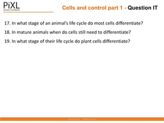 17. In what stage of an animal’s life cycle do most cells differentiate?
18. In mature animals when do cells still need to differentiate?
19. In what stage of their life cycle do plant cells differentiate?
Cells and control part 1 - Question IT
 