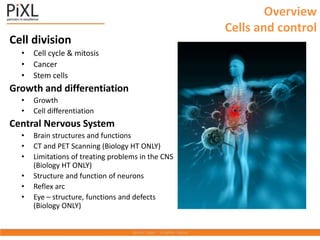 Overview
Cells and control
Cell division
• Cell cycle & mitosis
• Cancer
• Stem cells
Growth and differentiation
• Growth
• Cell differentiation
Central Nervous System
• Brain structures and functions
• CT and PET Scanning (Biology HT ONLY)
• Limitations of treating problems in the CNS
(Biology HT ONLY)
• Structure and function of neurons
• Reflex arc
• Eye – structure, functions and defects
(Biology ONLY)
 