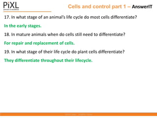 17. In what stage of an animal’s life cycle do most cells differentiate?
In the early stages.
18. In mature animals when do cells still need to differentiate?
For repair and replacement of cells.
19. In what stage of their life cycle do plant cells differentiate?
They differentiate throughout their lifecycle.
Cells and control part 1 – AnswerIT
 