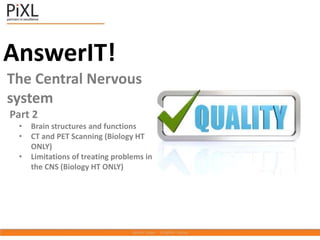 AnswerIT!
The Central Nervous
system
Part 2
• Brain structures and functions
• CT and PET Scanning (Biology HT
ONLY)
• Limitations of treating problems in
the CNS (Biology HT ONLY)
 