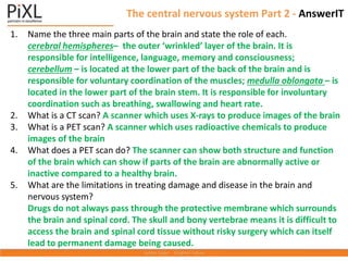 The central nervous system Part 2 - AnswerIT
1. Name the three main parts of the brain and state the role of each.
cerebral hemispheres– the outer ‘wrinkled’ layer of the brain. It is
responsible for intelligence, language, memory and consciousness;
cerebellum – is located at the lower part of the back of the brain and is
responsible for voluntary coordination of the muscles; medulla oblongata – is
located in the lower part of the brain stem. It is responsible for involuntary
coordination such as breathing, swallowing and heart rate.
2. What is a CT scan? A scanner which uses X-rays to produce images of the brain
3. What is a PET scan? A scanner which uses radioactive chemicals to produce
images of the brain
4. What does a PET scan do? The scanner can show both structure and function
of the brain which can show if parts of the brain are abnormally active or
inactive compared to a healthy brain.
5. What are the limitations in treating damage and disease in the brain and
nervous system?
Drugs do not always pass through the protective membrane which surrounds
the brain and spinal cord. The skull and bony vertebrae means it is difficult to
access the brain and spinal cord tissue without risky surgery which can itself
lead to permanent damage being caused.
 