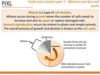 Cells and control part 1 - Mitosis and the cell
cycle
Mitosis is a type of cell division.
Mitosis occurs during growth when the number of cells needs to
increase and also to repair or replace damaged cells.
Asexual reproduction occurs by mitosis in plants and simple animals.
The overall process of growth and division is known as the cell cycle.
Mitosis Growth of the cell and
increase in number of
sub-cellular structures
DNA replication occurs. Each
chromosome is copied.
Interphase
Cytokinesis
 