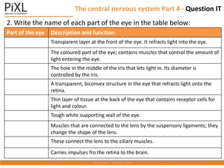 The central nervous system Part 4 - Question IT
2. Write the name of each part of the eye in the table below:
Part of the eye Description and function
Transparent layer at the front of the eye. It refracts light into the eye.
The coloured part of the eye; contains muscles that control the amount of
light entering the eye.
The hole in the middle of the iris that lets light in. Its diameter is
controlled by the iris.
A transparent, biconvex structure in the eye that refracts light onto the
retina.
Thin layer of tissue at the back of the eye that contains receptor cells for
light and colour.
Tough white supporting wall of the eye.
Muscles that are connected to the lens by the suspensory ligaments; they
change the shape of the lens.
These connect the lens to the ciliary muscles.
Carries impulses fro the retina to the brain.
 