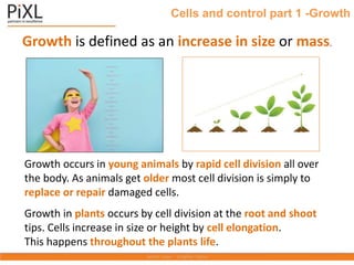 Cells and control part 1 -Growth
Growth is defined as an increase in size or mass.
Growth occurs in young animals by rapid cell division all over
the body. As animals get older most cell division is simply to
replace or repair damaged cells.
Growth in plants occurs by cell division at the root and shoot
tips. Cells increase in size or height by cell elongation.
This happens throughout the plants life.
 