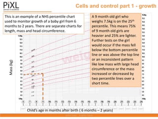 Cells and control part 1 - growth
Child’s age in months after birth ( 6 months – 2 years)
Mass
(kg)
This is an example of a NHS percentile chart
used to monitor growth of a baby girl from 6
months to 2 years. There are separate charts for
length, mass and head circumference.
A 9 month old girl who
weighs 7.5kg is on the 25th
percentile. This means 75%
of 9 month old girls are
heavier and 25% are lighter.
Further tests on the girl
would occur if the mass fell
below the bottom percentile
line or was above the top line
or an inconsistent pattern
like low mass with large head
circumference or the mass
increased or decreased by
two percentile lines over a
short time.
 