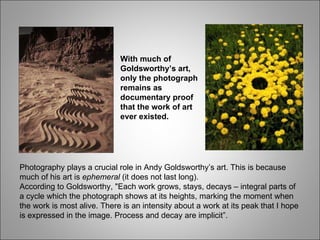 Photography plays a crucial role in Andy Goldsworthy’s art. This is because much of his art is  ephemeral  (it does not last long). According to Goldsworthy, "Each work grows, stays, decays – integral parts of a cycle which the photograph shows at its heights, marking the moment when the work is most alive. There is an intensity about a work at its peak that I hope is expressed in the image. Process and decay are implicit”. With much of Goldsworthy’s art, only the photograph remains as documentary proof that the work of art ever existed. 