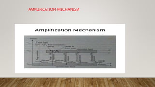 AMPLIFICATION MECHANISM
 