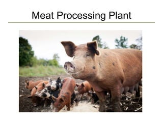 Meat Processing Plant
 