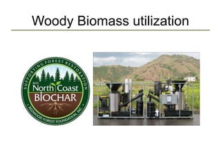 Woody Biomass utilization
 