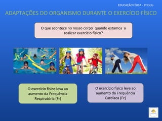 EDUCAÇÃO FÍSICA - 2º Ciclo
ADAPTAÇÕES DO ORGANISMO DURANTE O EXERCÍCIO FÍSICO
O que acontece no nosso corpo quando estamos a
realizar exercício físico?
O exercício físico leva ao
aumento da Frequência
Respiratória (Fr)
O exercício físico leva ao
aumento da Frequência
Cardíaca (Fc)
 