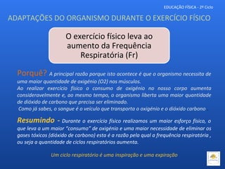 EDUCAÇÃO FÍSICA - 2º Ciclo
Porquê? A principal razão porque isto acontece é que o organismo necessita de
uma maior quantidade de oxigénio (O2) nos músculos.
Ao realizar exercício físico o consumo de oxigénio no nosso corpo aumenta
consideravelmente e, ao mesmo tempo, o organismo liberta uma maior quantidade
de dióxido de carbono que precisa ser eliminado.
Como já sabes, o sangue é o veículo que transporta o oxigénio e o dióxido carbono .
Resumindo - Durante o exercício físico realizamos um maior esforço físico, o
que leva a um maior “consumo” de oxigénio e uma maior necessidade de eliminar os
gases tóxicos (dióxido de carbono) esta é a razão pela qual a frequência respiratória ,
ou seja a quantidade de ciclos respiratórios aumenta.
Um ciclo respiratório é uma inspiração e uma expiração
O exercício físico leva ao
aumento da Frequência
Respiratória (Fr)
ADAPTAÇÕES DO ORGANISMO DURANTE O EXERCÍCIO FÍSICO
 