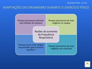 EDUCAÇÃO FÍSICA - 2º Ciclo
Porque precisamos eliminar
mais dióxido de carbono
Porque precisamos de mais
oxigénio no sangue
Porque temos mais sangue
nos pulmões que é preciso
“purificar”
Porque precisamos de mais
oxigénio nos músculos
Razões do aumento
da Frequência
Respiratória
ADAPTAÇÕES DO ORGANISMO DURANTE O EXERCÍCIO FÍSICO
 