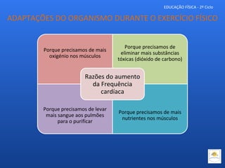 EDUCAÇÃO FÍSICA - 2º Ciclo
Porque precisamos de mais
oxigénio nos músculos
Porque precisamos de
eliminar mais substâncias
tóxicas (dióxido de carbono)
Porque precisamos de levar
mais sangue aos pulmões
para o purificar
Porque precisamos de mais
nutrientes nos músculos
Razões do aumento
da Frequência
cardíaca
ADAPTAÇÕES DO ORGANISMO DURANTE O EXERCÍCIO FÍSICO
 