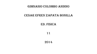 GIMNASIO COLOMBO ANDINO
CESAR EFREN ZAPATA BONILLA
ED. FISICA
11
2014
 