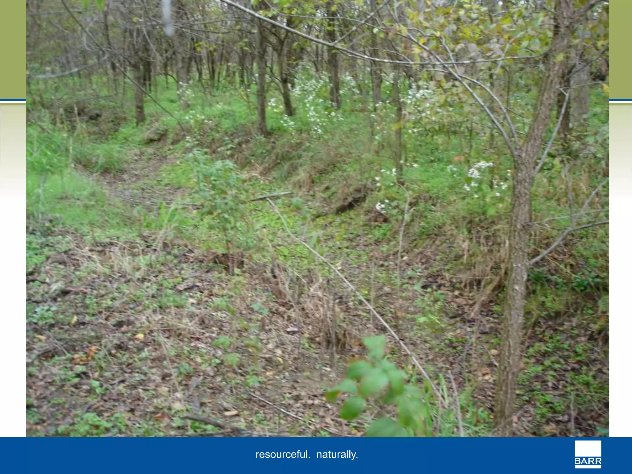 resourceful. naturally. 
 