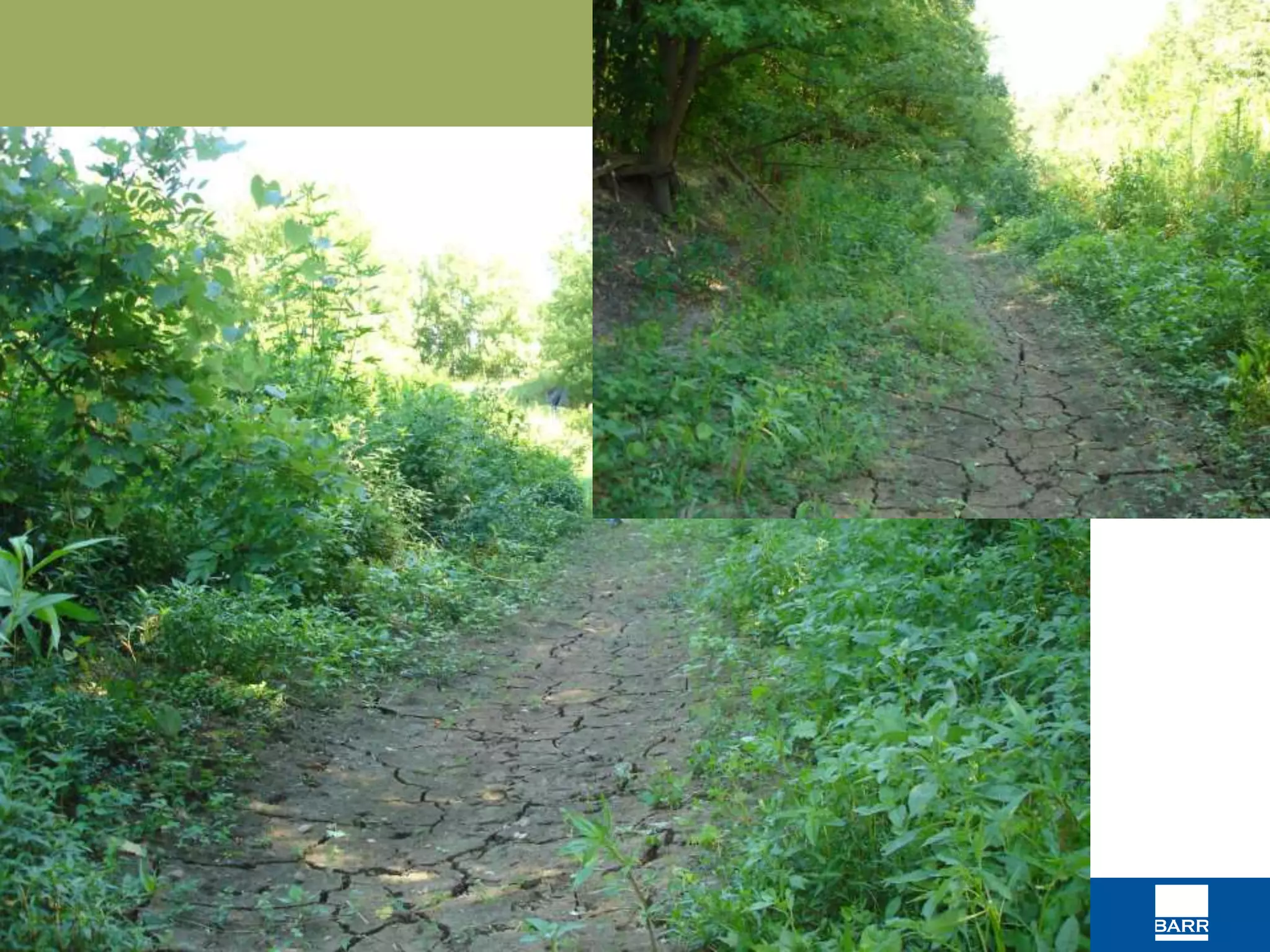 resourceful. naturally. 
 