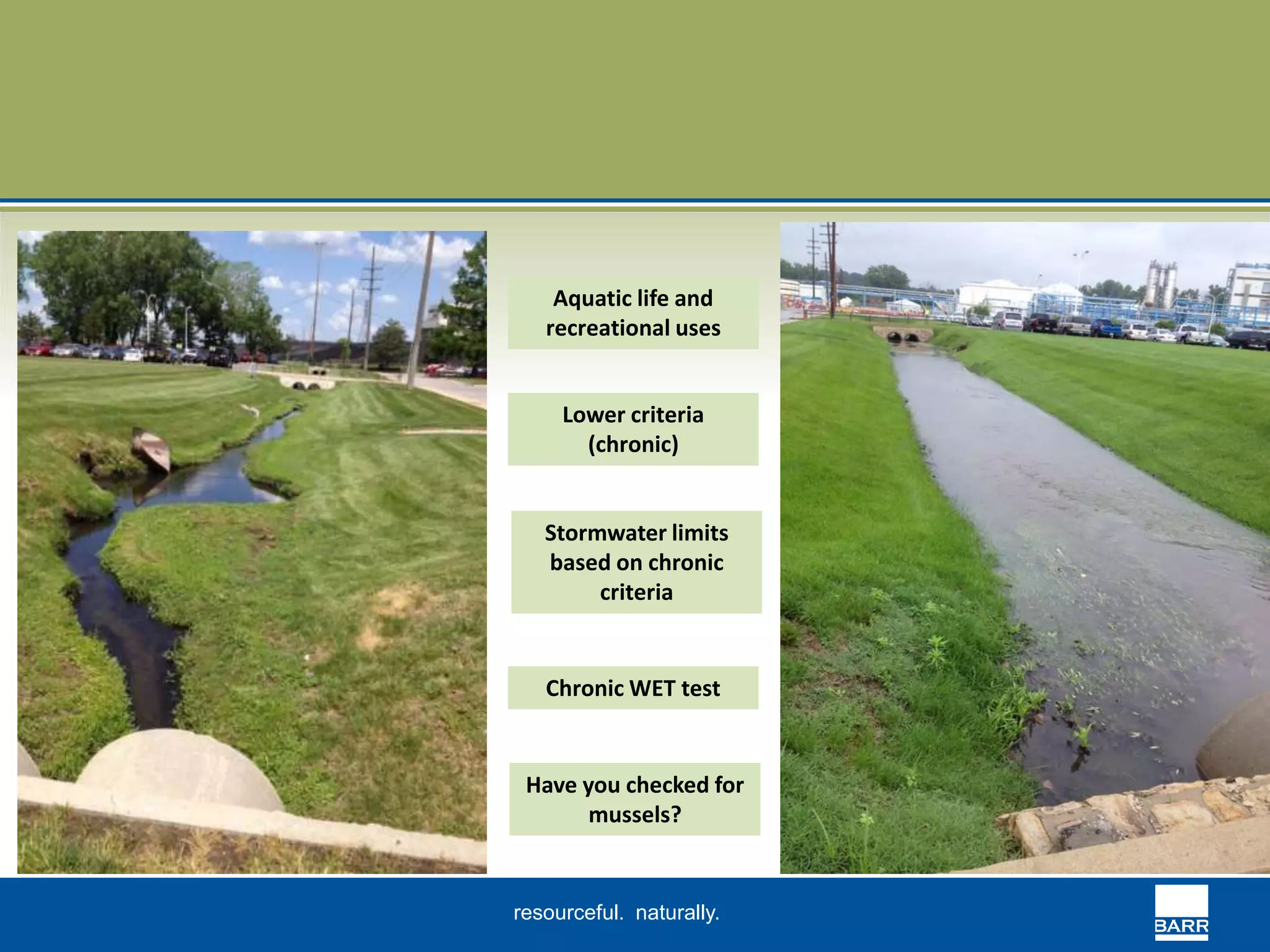 Aquatic life and 
recreational uses 
Lower criteria 
(chronic) 
Stormwater limits 
based on chronic 
criteria 
Chronic WET test 
Have you checked for 
mussels? 
resourceful. naturally. 
 