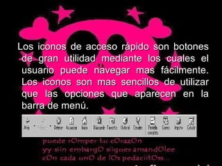 Los iconos de acceso rápido son botones de gran utilidad mediante los cuales el usuario puede navegar mas fácilmente. Los iconos son mas sencillos de utilizar que las opciones que aparecen en la barra de menú. 