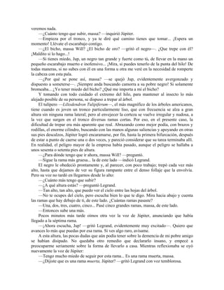 veremos nada.
—¿Cuánto tengo que subir, massa? —inquirió Júpiter.
—Empieza por el tronco, y ya te diré qué camino tienes que tomar... ¡Espera un
momento! Llévate el escarabajo contigo.
—¿El bicho, massa Will? ¿El bicho de oro? —gritó el negro—. ¿Que trepe con él?
¡Maldito si lo hago...!
—Si tienes miedo, Jup, un negro tan grande y fuerte como tú, de llevar en la mano un
pequeño escarabajo muerto e inofensivo... ¡Mira, si puedes tenerlo de la punta del hilo! De
todas maneras, si no subes con él en una forma u otra me veré en la necesidad de romperte
la cabeza con esta pala.
—¿Por qué se pone así, massa? —se quejó Jup, evidentemente avergonzado y
dispuesto a someterse—. ¡Siempre anda buscando camorra a su pobre negro! Si solamente
bromeaba... ¿Yo tener miedo del bicho? ¿Qué me importa a mí el bicho?
Y tomando con todo cuidado el extremo del hilo, para mantener al insecto lo más
alejado posible de su persona, se dispuso a trepar al árbol.
El tulípero —Liliodendron Tulipiferum—, el más magnífico de los árboles americanos,
tiene cuando es joven un tronco particularmente liso, que con frecuencia se alza a gran
altura sin ninguna rama lateral; pero al envejecer la corteza se vuelve irregular y nudosa, a
la vez que surgen en el tronco diversas ramas cortas. Por eso, en el presente caso, la
dificultad de trepar era más aparente que real. Abrazando como mejor podía, con brazos y
rodillas, el enorme cilindro, buscando con las manos algunas saliencias y apoyando en otras
sus pies descalzos, Júpiter logró encaramarse, por fin, hasta la primera bifurcación, después
de estar a punto de caerse una o dos veces, y pareció considerar que su tarea terminaba allí.
En realidad, el peligro mayor de la empresa había pasado, aunque el peligro se hallaba a
unos sesenta o setenta pies de altura.
—¿Para dónde tengo que ir ahora, massa Will? —preguntó.
—Sigue la rama más gruesa... la de este lado —indicó Legrand.
El negro le obedeció prontamente y, al parecer, con poco trabajo; trepó cada vez más
alto, hasta que dejamos de ver su figura rampante entre el denso follaje que la envolvía.
Pero su voz no tardó en llegarnos desde lo alto:
—¿Cuánto más tengo que subir?
—¿A qué altura estás? —preguntó Legrand.
—Tan alto, tan alto, que puedo ver el cielo entre las hojas del árbol.
—No te ocupes del cielo, pero escucha bien lo que te digo. Mira hacia abajo y cuenta
las ramas que hay debajo de ti, de este lado. ¿Cuántas ramas pasaste?
—Una, dos, tres, cuatro, cinco... Pasé cinco grandes ramas, massa, de este lado.
—Entonces sube una más.
Pocos minutos más tarde oímos otra vez la voz de Júpiter, anunciando que había
llegado a la séptima rama.
—¡Ahora escucha, Jup! —gritó Legrand, evidentemente muy excitado—. Quiero que
avances lo más que puedas por esa rama. Si ves algo raro, avísame.
A esta altura, las pocas dudas que aún podía tener sobre la demencia de mi pobre amigo
se habían disipado. No quedaba otro remedio que declararlo insano, y empecé a
preocuparme seriamente sobre la forma de llevarlo a casa. Mientras reflexionaba se oyó
nuevamente la voz de Júpiter:
—Tengo mucho miedo de seguir por esta rama... Es una rama muerta, massa.
—¿Dijiste que es una rama muerta, Júpiter? —gritó Legrand con voz temblorosa.
 