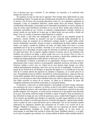 loco si pensara que van a creerme! Y, sin embargo, soy inocente, y lo confesaré todo
aunque me cueste la vida.
En sustancia, lo que nos dijo fue lo siguiente: Poco tiempo atrás, había hecho un viaje
al archipiélago índico. Un grupo del que formaba parte desembarcó en Borneo y penetró en
el interior a fin de hacer una excursión placentera. Entre él y un compañero capturaron al
orangután. Como su compañero falleciera, quedó dueño único del animal. Después de
considerables dificultades, ocasionadas por la indomable ferocidad de su cautivo durante el
viaje de vuelta, logró finalmente encerrarlo en su casa de París, donde, para aislarlo de la
incómoda curiosidad de sus vecinos, lo mantenía cuidadosamente recluido, mientras el
animal curaba de una herida en la pata que se había hecho con una astilla a bordo del
buque. Una vez curado, el marinero estaba dispuesto a venderlo.
Una noche, o más bien una madrugada, en que volvía de una pequeña juerga de
marineros, nuestro hombre se encontró con que el orangután había penetrado en su
dormitorio, luego de escaparse de la habitación contigua donde su captor había creído
tenerlo sólidamente encerrado. Navaja en mano y embadurnado de jabón, habíase sentado
frente a un espejo y trataba de afeitarse, tal como, sin duda, había visto hacer a su amo
espiándolo por el ojo de la cerradura. Aterrado al ver arma tan peligrosa en manos de un
animal que, en su ferocidad, era harto capaz de utilizarla, el marinero se quedó un instante
sin saber qué hacer. Por lo regular, lograba contener al animal, aun en sus arrebatos más
terribles, con ayuda de un látigo, y pensó acudir otra vez a ese recurso. Pero al verlo, el
orangután se lanzó de un salto a la puerta, bajó las escaleras y, desde ellas, saltando por una
ventana que desgraciadamente estaba abierta, se dejó caer a la calle.
Desesperado, el francés se precipitó en su seguimiento. Navaja en mano, el mono se
detenía para mirar y hacer muecas a su perseguidor, dejándolo acercarse casi hasta su lado.
Entonces echaba a correr otra vez. Siguió así la caza durante largo tiempo. Las calles
estaban profundamente tranquilas, pues eran casi las tres de la madrugada. Al atravesar el
pasaje de los fondos de la rue Morgue, la atención del fugitivo se vio atraída por la luz que
salía de la ventana abierta del aposento de madame L’Espanaye, en el cuarto piso de su
casa. Precipitándose hacia el edificio, descubrió la varilla del pararrayos, trepó por ella con
inconcebible agilidad, aferró la persiana que se hallaba completamente abierta y pegada a la
pared, y en esta forma se lanzó hacia adelante hasta caer sobre la cabecera de la cama. Todo
esto había ocurrido en menos de un minuto. Al saltar en la habitación, las patas del
orangután rechazaron nuevamente la persiana, la cual quedó abierta.
El marinero, a todo esto, se sentía tranquilo y preocupado al mismo tiempo. Renacían
sus esperanzas de volver a capturar a la bestia, ya que le sería difícil escapar de la trampa
en que acababa de meterse, salvo que bajara otra vez por el pararrayos, ocasión en que sería
posible atraparlo. Por otra parte, se sentía ansioso al pensar en lo que podría estar haciendo
en la casa. Esta última reflexión indujo al hombre a seguir al fugitivo. Para un marinero no
hay dificultad en trepar por una varilla de pararrayos; pero, cuando hubo llegado a la altura
de la ventana, que quedaba muy alejada a su izquierda, no pudo seguir adelante; lo más que
alcanzó fue a echarse a un lado para observar el interior del aposento. Apenas hubo mirado,
estuvo a punto de caer a causa del horror que lo sobrecogió. Fue en ese momento cuando
empezaron los espantosos alaridos que arrancaron de su sueño a los vecinos de la rue
Morgue. Madame L’Espanaye y su hija, vestidas con sus camisones de dormir, habían
estado aparentemente ocupadas en arreglar algunos papeles en la caja fuerte ya
mencionada, la cual había sido corrida al centro del cuarto. Hallábase abierta, y a su lado,
en el suelo, los papeles que contenía. Las víctimas debían de haber estado sentadas dando la
 
