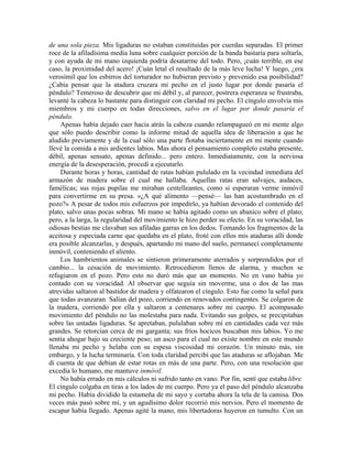 de una sola pieza. Mis ligaduras no estaban constituidas por cuerdas separadas. El primer
roce de la afiladísima media luna sobre cualquier porción de la banda bastaría para soltarla,
y con ayuda de mi mano izquierda podría desatarme del todo. Pero, ¡cuán terrible, en ese
caso, la proximidad del acero! ¡Cuán letal el resultado de la más leve lucha! Y luego, ¿era
verosímil que los esbirros del torturador no hubieran previsto y prevenido esa posibilidad?
¿Cabía pensar que la atadura cruzara mi pecho en el justo lugar por donde pasaría el
péndulo? Temeroso de descubrir que mi débil y, al parecer, postrera esperanza se frustraba,
levanté la cabeza lo bastante para distinguir con claridad mi pecho. El cíngulo envolvía mis
miembros y mi cuerpo en todas direcciones, salvo en el lugar por donde pasaría el
péndulo.
Apenas había dejado caer hacia atrás la cabeza cuando relampagueó en mi mente algo
que sólo puedo describir como la informe mitad de aquella idea de liberación a que he
aludido previamente y de la cual sólo una parte flotaba inciertamente en mi mente cuando
llevé la comida a mis ardientes labios. Mas ahora el pensamiento completo estaba presente,
débil, apenas sensato, apenas definido... pero entero. Inmediatamente, con la nerviosa
energía de la desesperación, procedí a ejecutarlo.
Durante horas y horas, cantidad de ratas habían pululado en la vecindad inmediata del
armazón de madera sobre el cual me hallaba. Aquellas ratas eran salvajes, audaces,
famélicas; sus rojas pupilas me miraban centelleantes, como si esperaran verme inmóvil
para convertirme en su presa. «¿A qué alimento —pensé— las han acostumbrado en el
pozo?» A pesar de todos mis esfuerzos por impedirlo, ya habían devorado el contenido del
plato, salvo unas pocas sobras. Mi mano se había agitado como un abanico sobre el plato;
pero, a la larga, la regularidad del movimiento le hizo perder su efecto. En su voracidad, las
odiosas bestias me clavaban sus afiladas garras en los dedos. Tomando los fragmentos de la
aceitosa y especiada carne que quedaba en el plato, froté con ellos mis ataduras allí donde
era posible alcanzarlas, y después, apartando mi mano del suelo, permanecí completamente
inmóvil, conteniendo el aliento.
Los hambrientos animales se sintieron primeramente aterrados y sorprendidos por el
cambio... la cesación de movimiento. Retrocedieron llenos de alarma, y muchos se
refugiaron en el pozo. Pero esto no duró más que un momento. No en vano había yo
contado con su voracidad. Al observar que seguía sin moverme, una o dos de las mas
atrevidas saltaron al bastidor de madera y olfatearon el cíngulo. Esto fue como la señal para
que todas avanzaran. Salían del pozo, corriendo en renovados contingentes. Se colgaron de
la madera, corriendo por ella y saltaron a centenares sobre mi cuerpo. El acompasado
movimiento del péndulo no las molestaba para nada. Evitando sus golpes, se precipitaban
sobre las untadas ligaduras. Se apretaban, pululaban sobre mí en cantidades cada vez más
grandes. Se retorcían cerca de mi garganta; sus fríos hocicos buscaban mis labios. Yo me
sentía ahogar bajo su creciente peso; un asco para el cual no existe nombre en este mundo
llenaba mi pecho y helaba con su espesa viscosidad mi corazón. Un minuto más, sin
embargo, y la lucha terminaría. Con toda claridad percibí que las ataduras se aflojaban. Me
di cuenta de que debían de estar rotas en más de una parte. Pero, con una resolución que
excedía lo humano, me mantuve inmóvil.
No había errado en mis cálculos ni sufrido tanto en vano. Por fin, sentí que estaba libre.
El cíngulo colgaba en tiras a los lados de mi cuerpo. Pero ya el paso del péndulo alcanzaba
mi pecho. Había dividido la estameña de mi sayo y cortaba ahora la tela de la camisa. Dos
veces más pasó sobre mí, y un agudísimo dolor recorrió mis nervios. Pero el momento de
escapar había llegado. Apenas agité la mano, mis libertadoras huyeron en tumulto. Con un
 