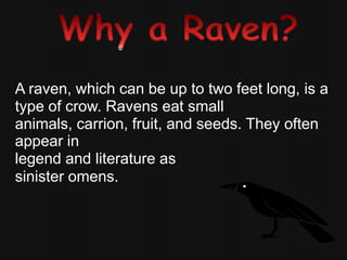 A raven, which can be up to two feet long, is a
type of crow. Ravens eat small
animals, carrion, fruit, and seeds. They often
appear in
legend and literature as
sinister omens.
 
