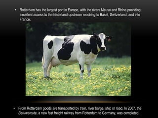 Netherlands is the 13th most free market capitalist economy out of 157 surveyed countries.