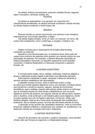 10

     As células, embora microscópicas, possuem variadas formas, segundo
sejam musculares, nervosas, ósseas, etc.
                                 TECIDOS

     As células se especializam e se agrupam em conjuntos com
características semelhantes: as células nervosas constituem o tecido nervoso,
as células ósseas constituem o tecido ósseo, etc.

                                  ÓRGÃOS

     Diversos tecidos se reúnem para formar uma estrutura mais complexa,
responsável por uma função específica: o órgão.
     Vão desde órgãos simples, como um osso, um músculo, um nervo, até
outros mais complicados, como o estômago, o coração, o intestino, etc.

                                 SISTEMAS

     Órgãos reunidos para o desempenho de funções determinadas,
constituem os sistemas.
     Aparelho é uma denominação que, na anatomia atual, tanto pode ser
usada como sinônimo de sistemas como também com sentido próprio de uma
associação de sistemas. Por exemplo: o Sistema Muscular associado ao
Sistema Esquelético formariam um aparelho especial de nome Aparelho
Locomotor; o Sistema Respiratório e o Muscular comporiam o aparelho
fonador, etc.

                          1) SISTEMA DIGESTÓRIO

      É formado pelos órgãos: boca, esôfago, estômago, intestinos delgado e
grosso, e glândulas anexas (fígado e pâncreas) mais glândulas salivares.
      Este sistema é destinado a captar, manipular e absorver alimentos e
eliminar resíduos metabólicos não aproveitados.
      A digestão começa na boca, onde os alimentos sofrem a ação
da saliva que contém agentes digestivos (como, por exemplo, a amilase salivar,
que transforma o amido em açúcar); seguem, através de movimentos
peristálticos, para o esôfago, passam pela válvula cárdia, entram no estômago
que os manipula durante um certo tempo, trabalhando-os com os sucos
digestivos que lhe são próprios; em seguida, através da válvula piloro, passam
para o duodeno, onde continuam a ser tratados pelos sucos digestivos, dentre
os quais aqueles que vem do fígado e pâncreas. Continuam, então, pelo
intestino delgado, onde se dá a maior parte da absorção das substâncias e,
finalmente, vão ao intestino grosso, de onde são eliminados através do ânus.
       A absorção se faz através das vilosidades intestinais, onde se encontram
finíssimos capilares linfáticos e sangüíneos que recebem as substâncias e as
distribuem através da circulação para todo o organismo.

                        2) SISTEMA RESPIRATÓRIO

       Absorve da atmosfera não somente o oxigênio necessário, como também
o fluido vital, que fornece ao organismo a indispensável energia.
 