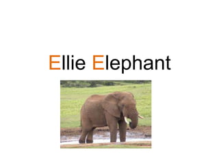Ellie Elephant
 