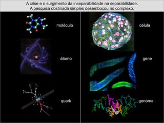 Os pilares da certeza(fundamentos da ciência clássica – até início do séc. XX): A lógica indutivo-dedutivo-identitária identificada com a Razão. A dedução e a indução são os processos animais e humanos mais correntes para aquisição de um conhecimento. E essas são as bases da lógica clássica que se impregnaram na argumentação e construção teórica das ciências. O problema é que a dedução e a indução deixam de fora tudo que opera a invenção e a criação. “Essa lógica fortalece o pensamento linear de causa-efeito fazendo obstáculo à inteligência da retroação do efeito sobre a causa. É uma lógica da ordem que fortalece o Determinismo ao mesmo tempo que ele a fortalece. Essa lógica armou a concepção de um mundo coerente, inteiramente acessível ao pensamento, e tudo aquilo que excedia essa coerência se tornava não somente fora da lógica mas também fora do mundo e fora da realidade.” (MORIN, p. 98)