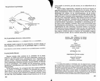 Edgar morin. el metodo 1