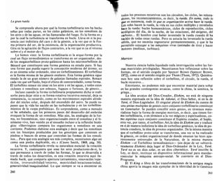 Edgar morin. el metodo 1