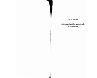 Edgar morin. el metodo 1