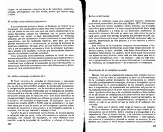 Edgar morin. el metodo 1