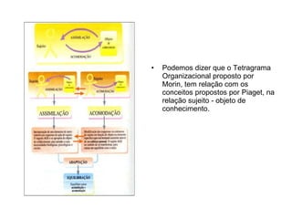 Podemos dizer que o Tetragrama Organizacional proposto por Morin, tem relação com os conceitos propostos por Piaget, na relação sujeito - objeto de conhecimento. 